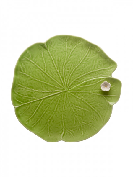 WATER LILY